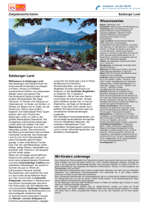 Zielgebietsinformation Salzburger Land