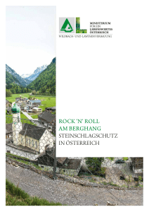 rock `n` roll am berghang steinschlagschutz in österreich