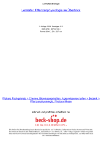 Lerntafel: Pflanzenphysiologie im Überblick - Beck-Shop