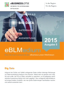 eBLMedium - Mittelstand Digital