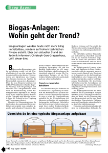 Biogas-Anlagen: Wohin geht der Trend?