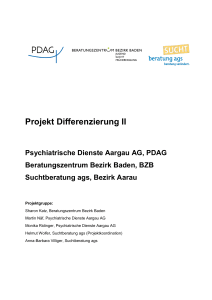 Projekt Differenzierung Schlussbericht (PDF, 12