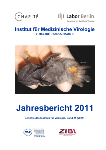 Jahresbericht 2011 - Charité