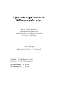 Algebraische Approximation von