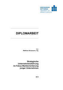diplomarbeit - MOnAMi - Publication Server of Hochschule Mittweida