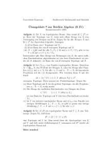 Ubungsblatt 7 zur Reellen Algebra (B IV)