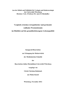Dissertation Ulrich Rohsbach