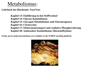 Metabolismus:!