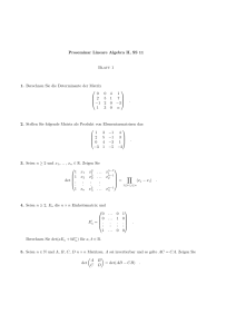 Proseminar Lineare Algebra II, SS 11 Blatt 1 1 - ig