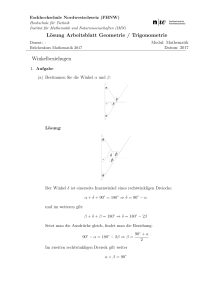 Lösung Arbeitsblatt Geometrie / Trigonometrie