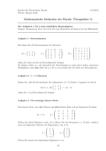 Mathematische Methoden der Physik:¨Ubungsblatt 11