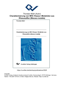 Charakterisierung von MHC Klasse I-Molekülen
