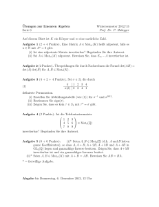 ¨Ubungen zur Linearen Algebra Wintersemester 2012/13 Serie 6