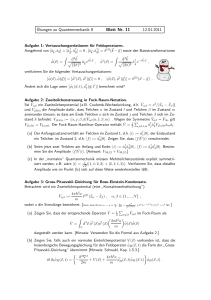 Übungen zu Quantenmechanik II Blatt Nr. 11 12.01.2011
