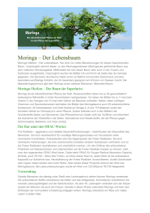 Moringa – Der Lebensbaum - Kornkammer-Bio