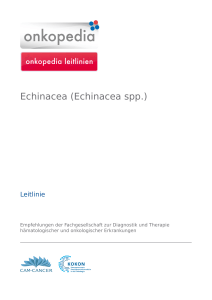 Echinacea (Echinacea spp.)