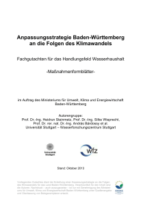 Anpassungsstrategie Baden-Württemberg an die Folgen des