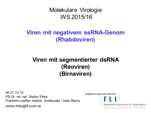 (Rhabdoviren) Viren mit segmentierter dsRNA - Friedrich