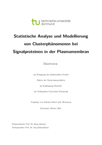 Statistische Analyse und Modellierung von Clusterphänomenen bei