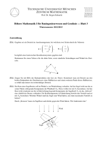 Höhere Mathematik I für Bauingenieurwesen und Geodäsie — Blatt 3