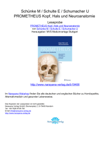 PROMETHEUS Kopf, Hals und Neuroanatomie