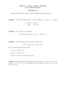 MAT111.1 - Lineare Algebra, WS 06/07