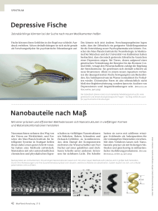 Depressive Fische Nanobauteile nach Maß - Max-Planck