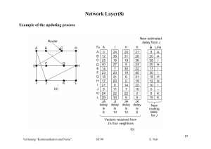 Network Layer(8)