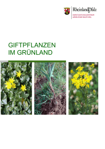 Broschüre Giftpflanzen im Grünland - DLR-RLP - in Rheinland