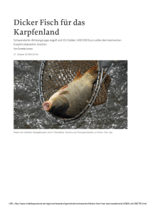 Dicker Fisch für das Karpfenland - Regionalentwicklung Landkreis
