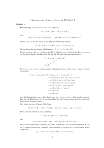 Lösungen zur linearen Algebra II, Blatt 9