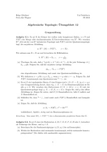 Algebraische Topologie: ¨Ubungsblatt 12