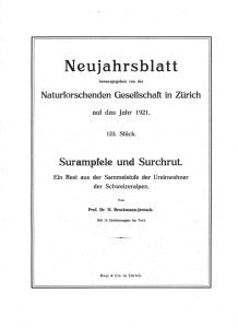 NGZ Neujahrsblatt 1921