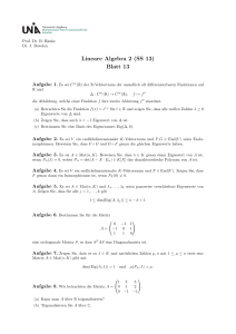 Lineare Algebra 2 (SS 13) Blatt 13