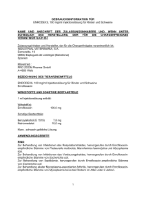 GEBRAUCHSINFORMATION FÜR ENRODEXIL 100 mg/ml