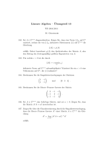 Lineare Algebra – ¨Ubungsteil 13