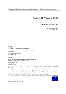 Abschlussbericht GE - Transfer 2010