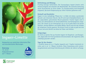 Ingwer-Limette - Spitzner Physiotherapie