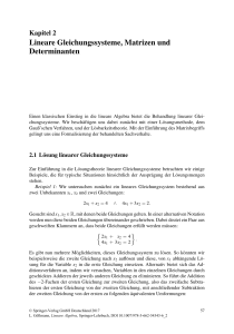 Lineare Gleichungssysteme, Matrizen und Determinanten