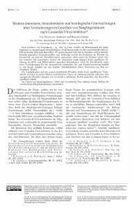Zeitschrift für Naturforschung / B / 11 (1956) - ZfN - Max