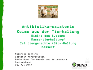 Vortrag Reinhild Benning "Antibiotikaresistente
