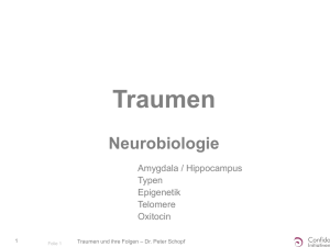 Neurobiologie von Traumen - Confido