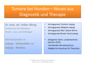 Tumore bei Hunden 2014 15.9.14 - Kleintierpraxis Leipzig