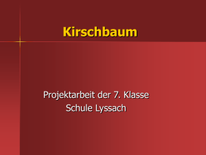 Kirschbaum - Schule Lyssach