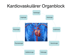 Lernzielkatalog Modul 23 CV