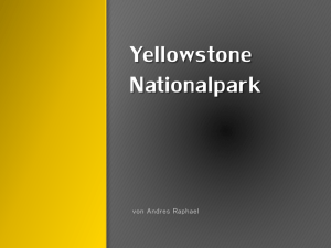 Yellowstone Nationalpark Präsentation