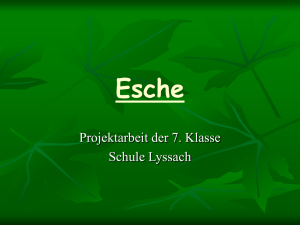 Esche - Schule Lyssach