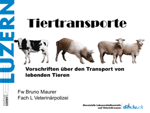 Tiertransporte aus Sicht der Veterinärpolizei