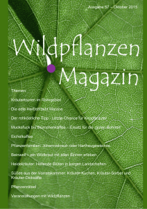 Themen: Kräutertouren im Ruhrgebiet Die edle Herbstfrucht Marone