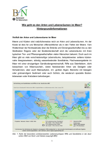 Artenvielfalt-Bedrohungen - Arten und Lebenräume im Meer, pdf .de
